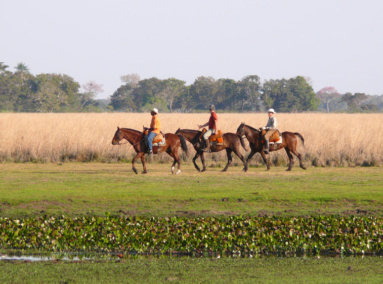 Leisurely pace on the banks of Vazante Castelo